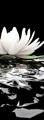 Roller blind for large window Water lilies on the surface