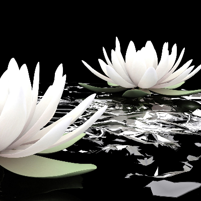 Roller blind for large window Water lilies on the surface