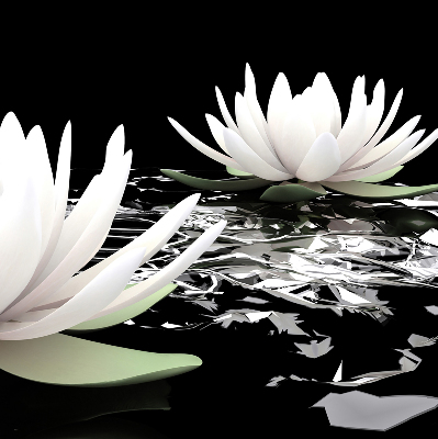 Roller blind for large window Water lilies on the surface