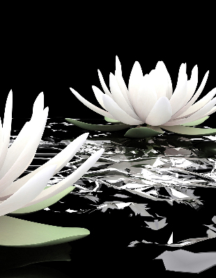 Roller blind for large window Water lilies on the surface