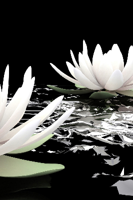 Roller blind for large window Water lilies on the surface