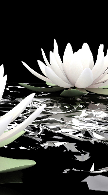 Roller blind for large window Water lilies on the surface