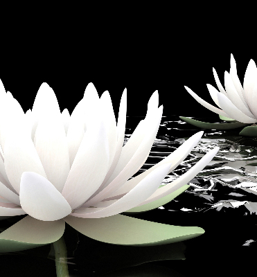 Roller blind for large window Water lilies on the surface