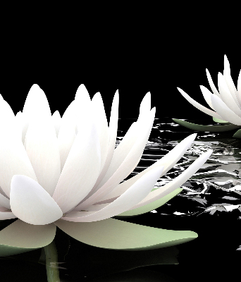 Roller blind for large window Water lilies on the surface