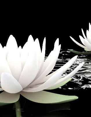Roller blind for large window Water lilies on the surface