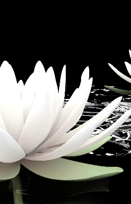 Roller blind for large window Water lilies on the surface