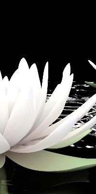 Roller blind for large window Water lilies on the surface