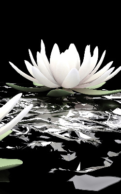 Roller blind for large window Water lilies on the surface