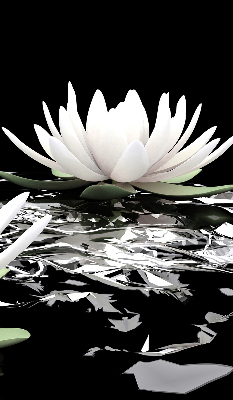 Roller blind for large window Water lilies on the surface