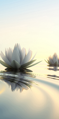 Fabric roller blind Water lilies