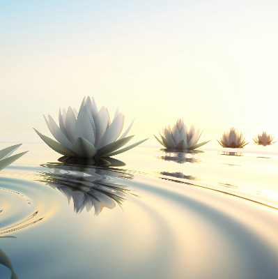 Fabric roller blind Water lilies