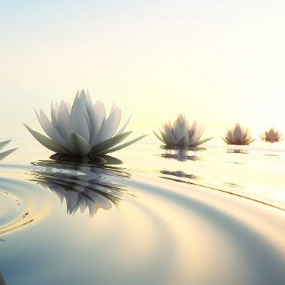 Fabric roller blind Water lilies