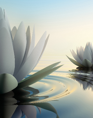 Fabric roller blind Water lilies
