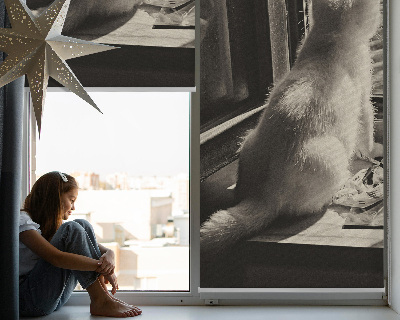 Fabric roller blind Cats in the window