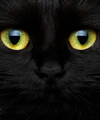 Modern roller blind Cat eyes