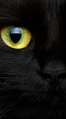 Modern roller blind Cat eyes