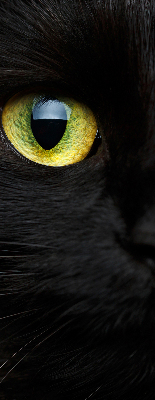 Modern roller blind Cat eyes