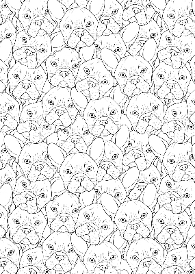 Roller blind for large window Drawn dogs