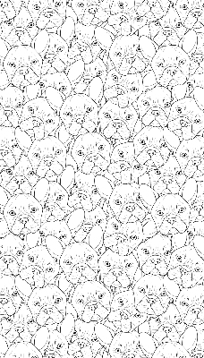 Roller blind for large window Drawn dogs