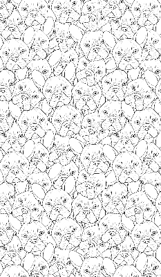 Roller blind for large window Drawn dogs
