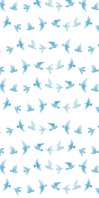 Modern roller blind Blue birds