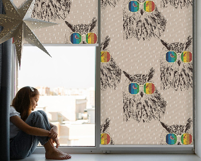 Roller blind for large window Owls in colorful glasses