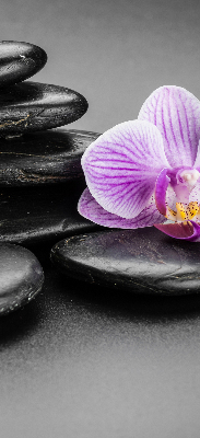 Modern roller blind Orchid on the stones