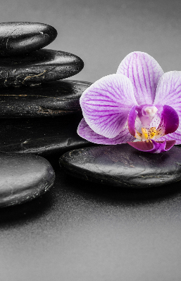 Modern roller blind Orchid on the stones
