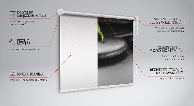 Modern roller blind Orchid on the stones
