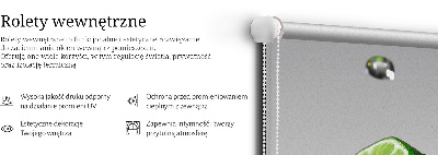 Roller blind for large window Limes in water