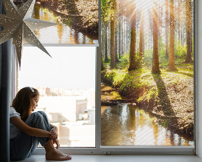 Modern roller blind The sun shining through the trees