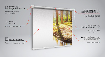 Modern roller blind The sun shining through the trees