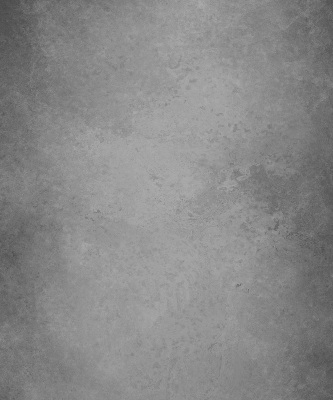Modern roller blind Gray smoke