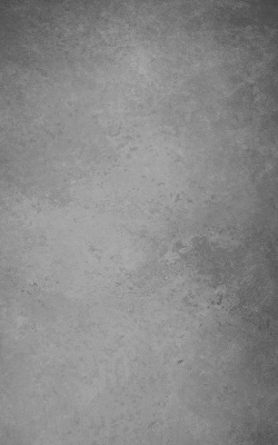 Modern roller blind Gray smoke