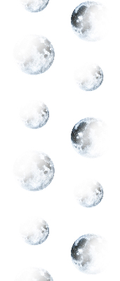 Roller blind for large window Moons