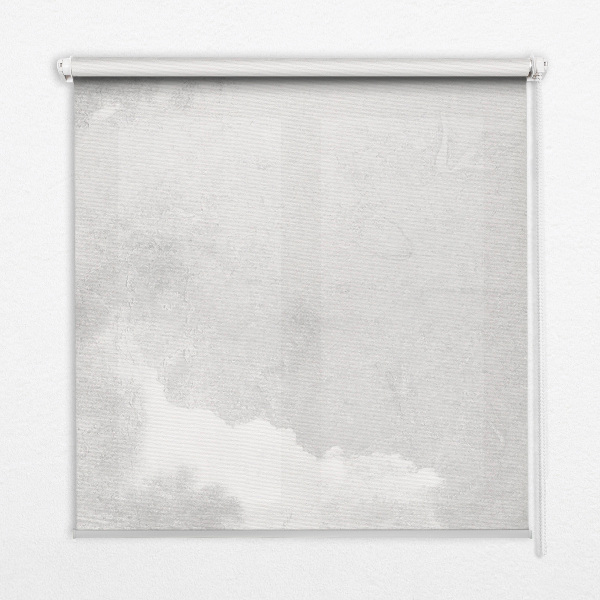 Modern roller blind Gray sky