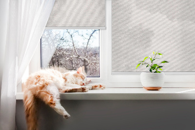 Modern roller blind Gray sky