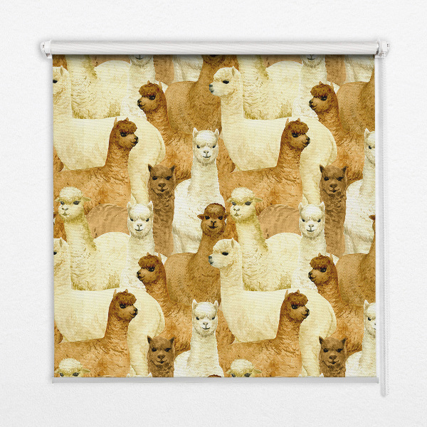 Modern roller blind A herd of alpacas