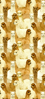Modern roller blind A herd of alpacas