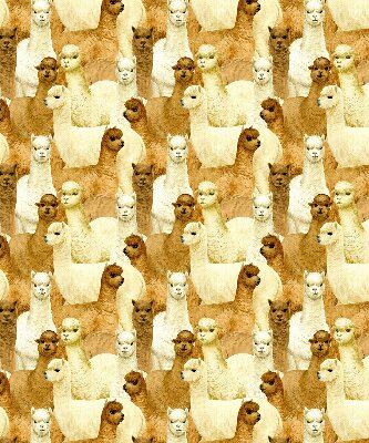 Modern roller blind A herd of alpacas