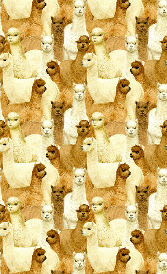 Modern roller blind A herd of alpacas