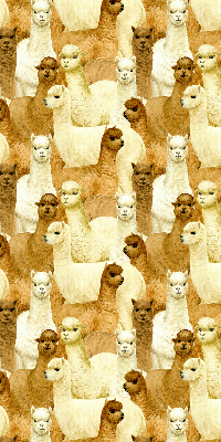 Modern roller blind A herd of alpacas
