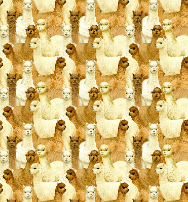 Modern roller blind A herd of alpacas