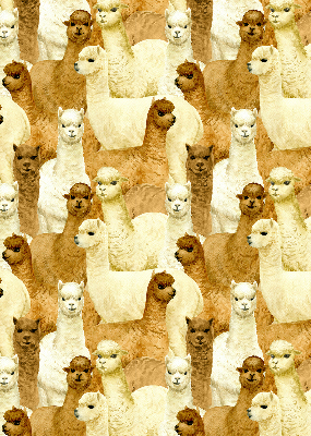Modern roller blind A herd of alpacas