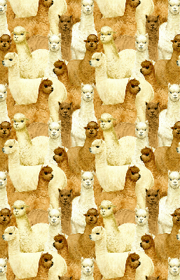 Modern roller blind A herd of alpacas