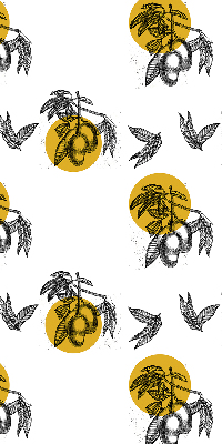 Modern roller blind Fruits and yellow circles