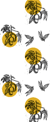 Modern roller blind Fruits and yellow circles