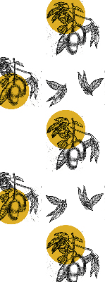 Modern roller blind Fruits and yellow circles