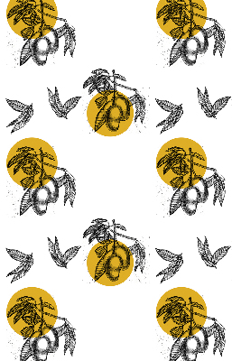 Modern roller blind Fruits and yellow circles
