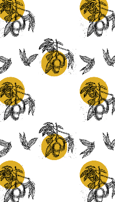 Modern roller blind Fruits and yellow circles